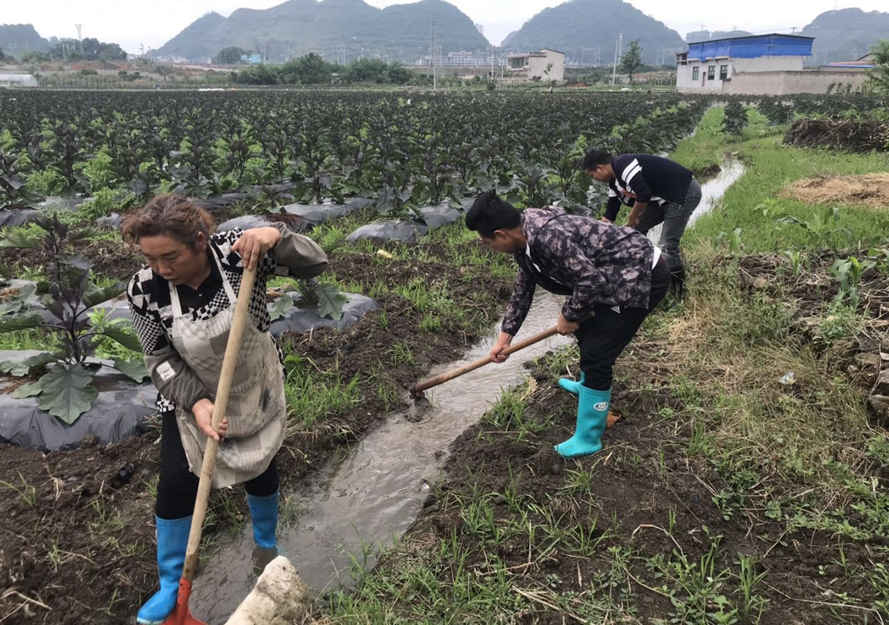 村民在进行种植土地平整.jpeg