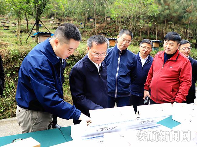 胡忠雄在紫云自治县浪风关食用菌基地详细了解食用菌产业发展情况.jpg