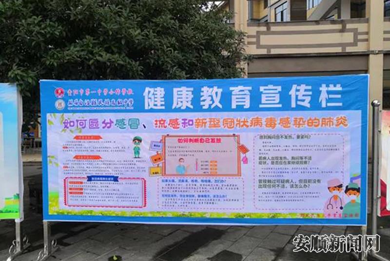 12a73e5c-002b-47bd-903f-26deebf74808_IMAGE_5.jpg