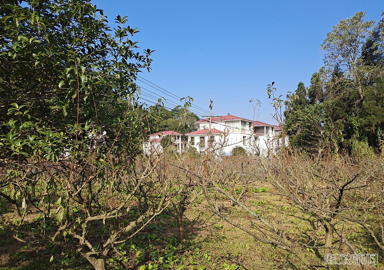 观摩大坝村5.jpg