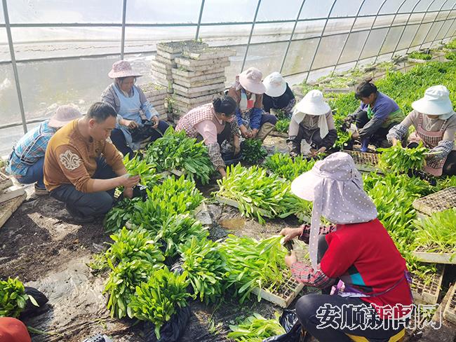 付习贵和村民一起劳动.jpg