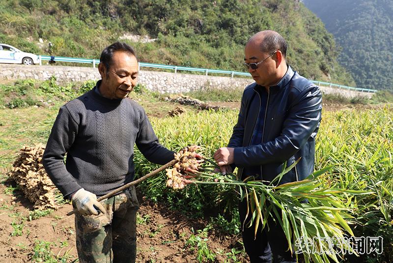 韩开林到田间地头向姜农了解今年的收成.jpg