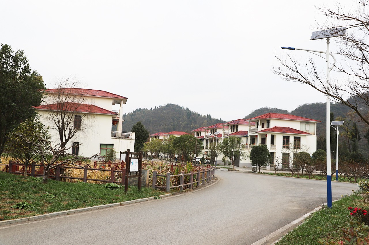 现在的大坝村一角.jpg