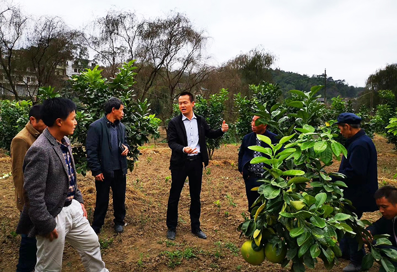 雷丰富（中）到田间地头给果农进行经果林管护培训.jpg