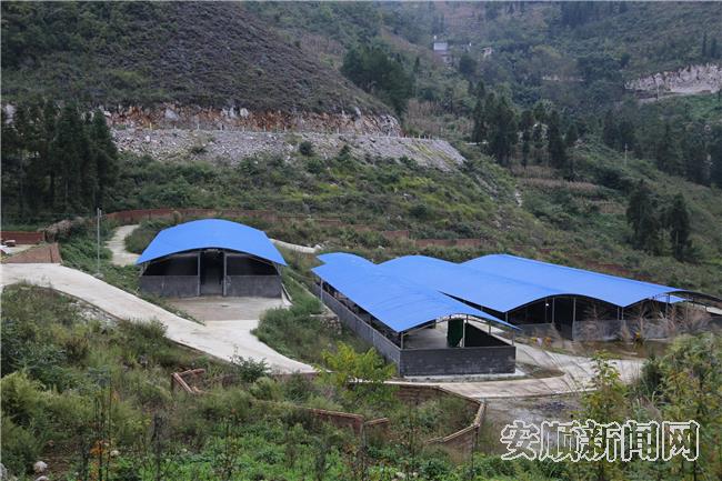 卡坪村肉牛养殖场.jpg