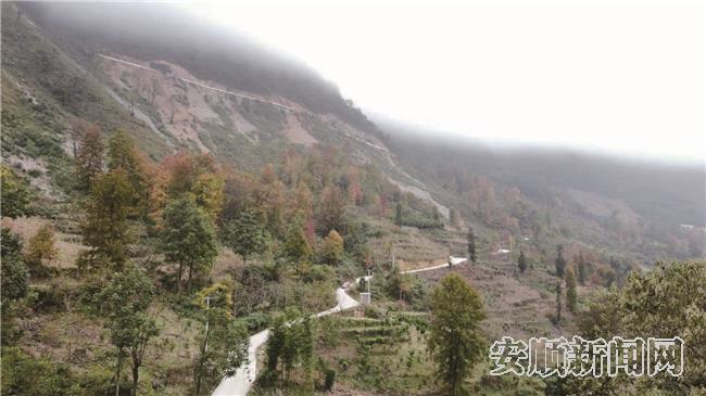 和平组到卡益组通组路.jpg