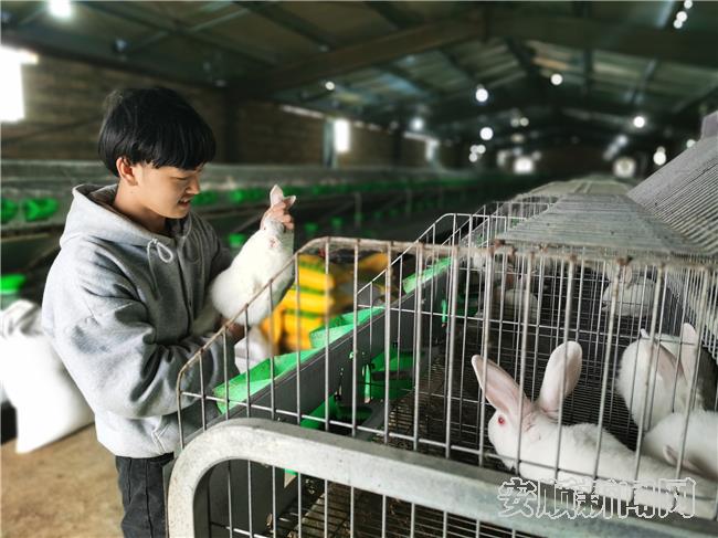 猫场村肉兔养殖场.jpg