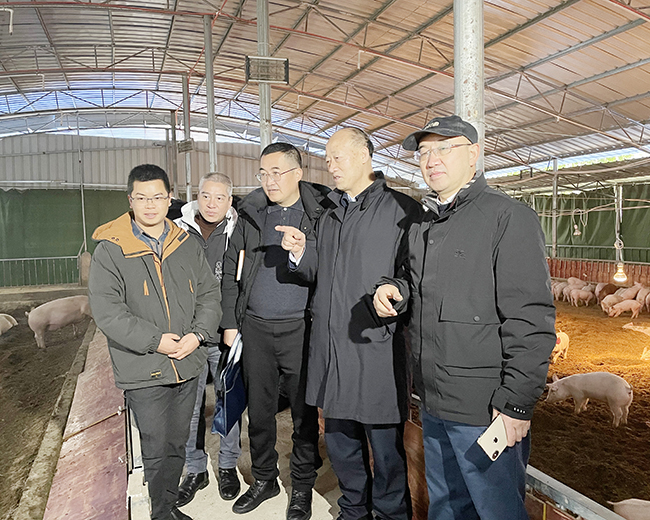 左定超（右二）率队到我市bet3365官方手机_365bet线_线上365bet注册区乐平镇下院村三习生态养殖基地开展调研.jpeg