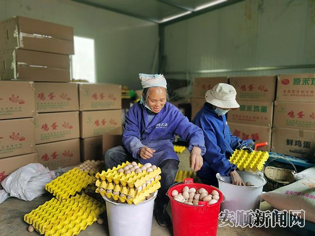 青塘村生态养鸡场农户精选鸡蛋装箱.jpg