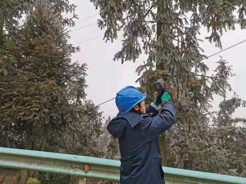 6A4A25AC-B7FF-4968-8C5D-86FE20CD7E43_IMAGE_3_LOW_0.jpg