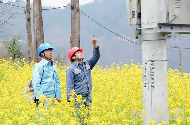 紫云供电局水塘供电所光明服务队在腰岩组巡视配电变压器.jpg