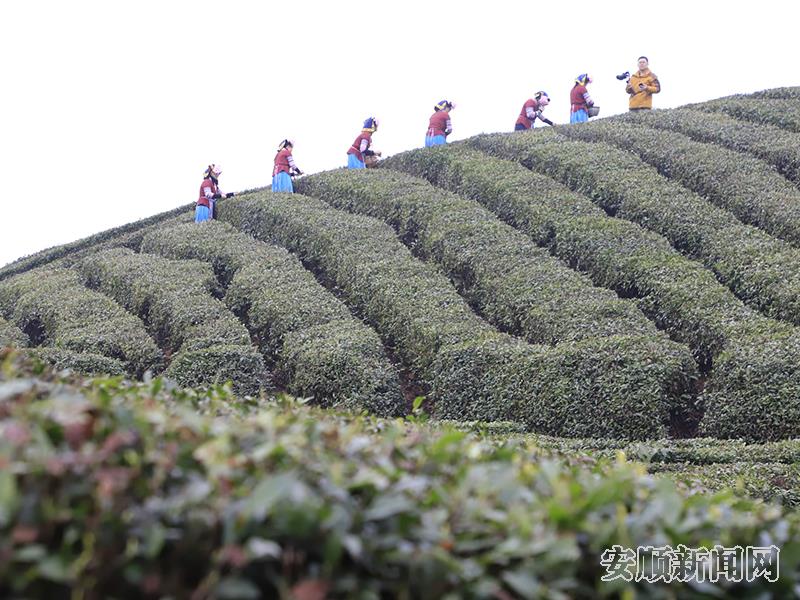蚕种场一角.jpg