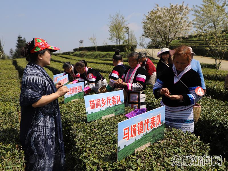 茶叶专班技术人员实地为茶农做培训.jpg