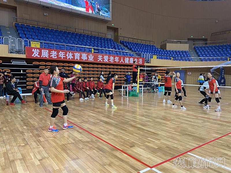 1298C799-AEFD-4002-A307-40207D76AA7D_IMAGE_0_LOW_0.jpg