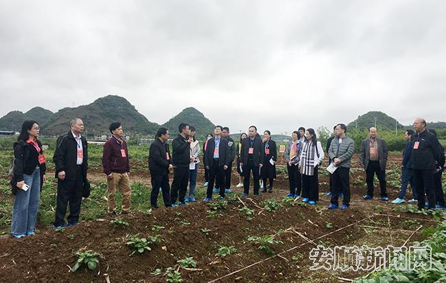广东省信宜市政协财金工商联合考察团到国家马铃薯产业技术体系安顺综合试验站考察学习.jpg