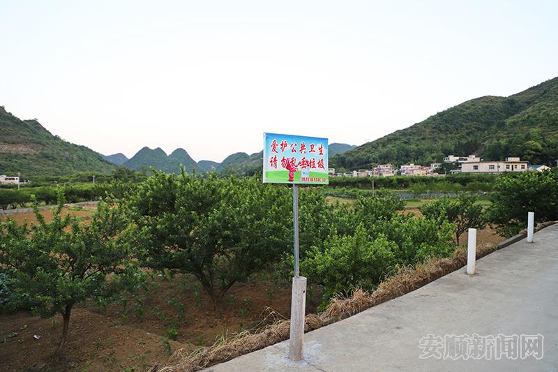 在关岭自治县上关镇宜所村纳拜组，随处可见爱护环境共建家园的宣传标语.jpg
