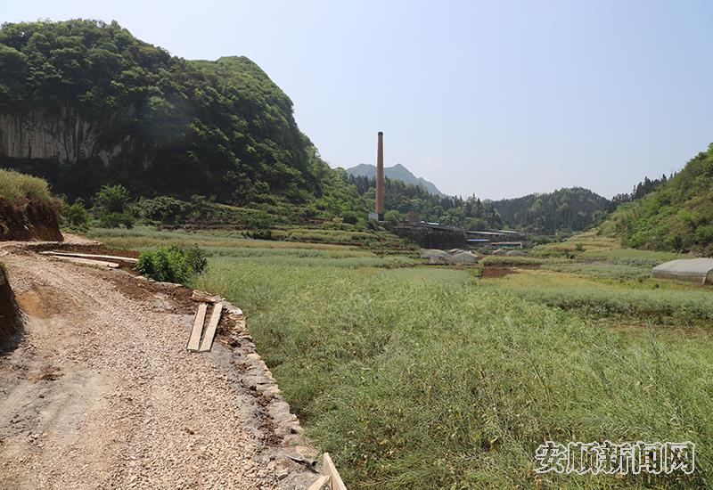 正在硬化的机耕道旁是农户的大片土地.jpg