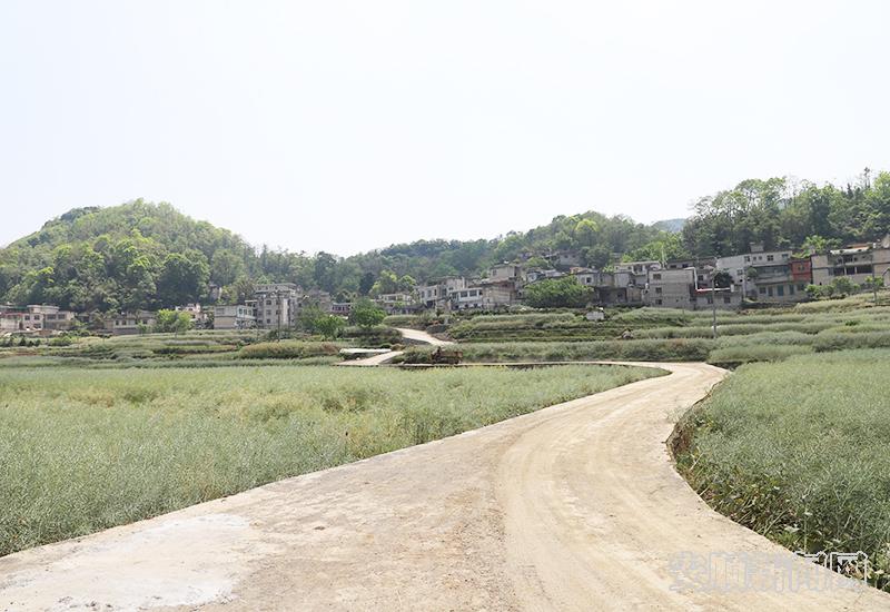 打通机耕道，农户发展产业更加方便.jpg