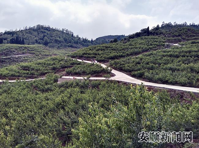 3CF587D5-BC6A-42B3-8A49-F43F3A478509_IMAGE_0_LOW_0.jpg