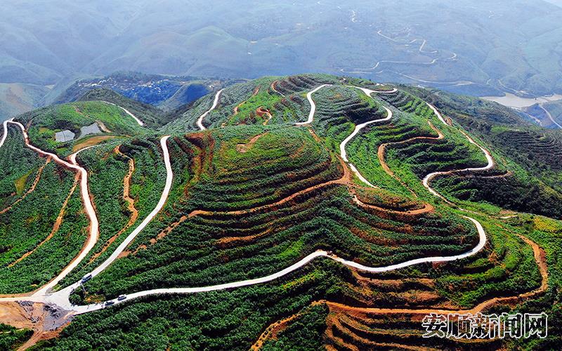 关岭新铺镇万亩饲草基地.jpg