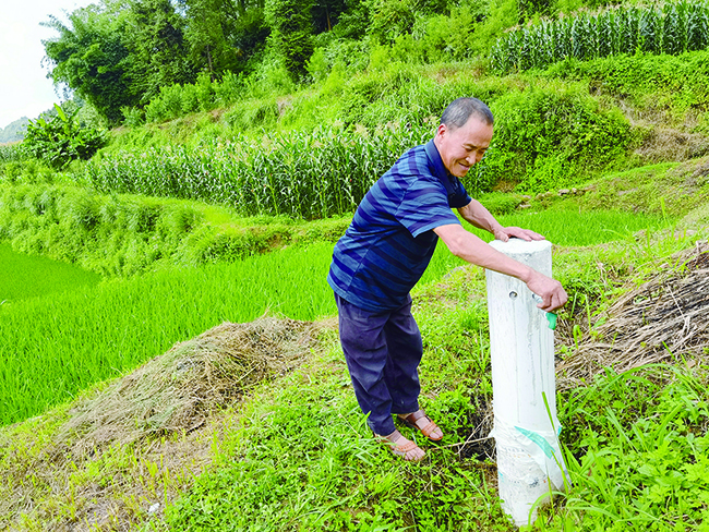 标准化农田建设喷灌.jpg