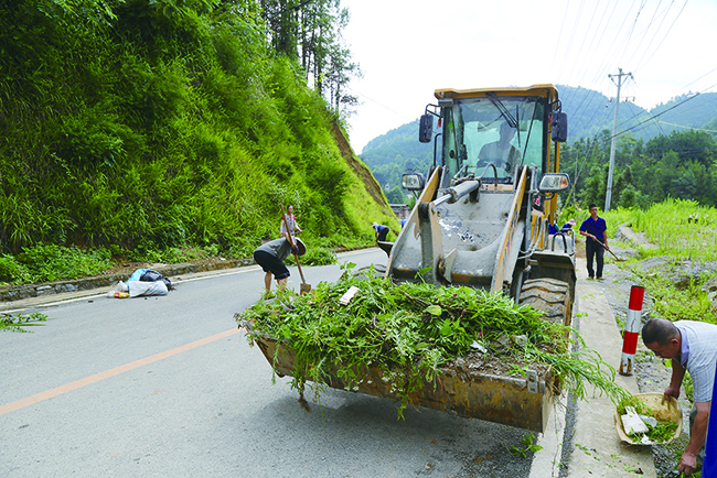 坝羊镇新山村清理路边环境.jpg