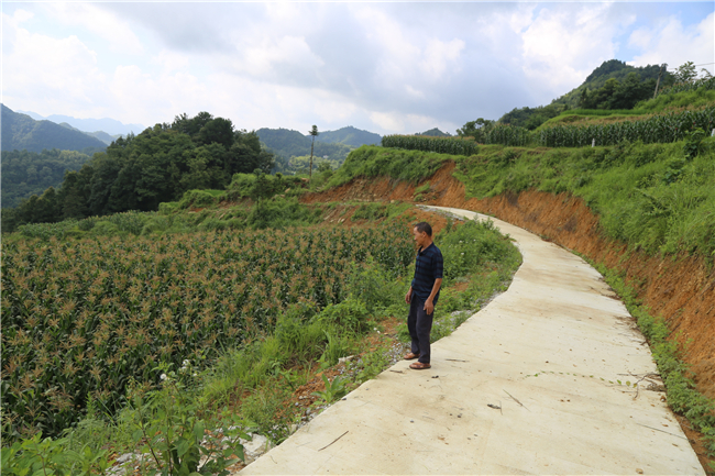 修建在坡地上的产业路.jpg