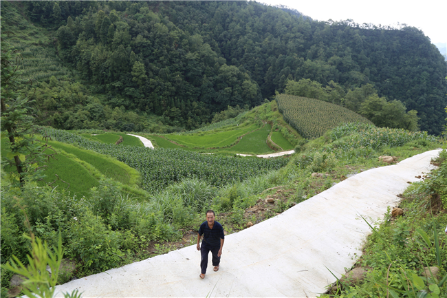 张岐江行走在产业路上.jpg