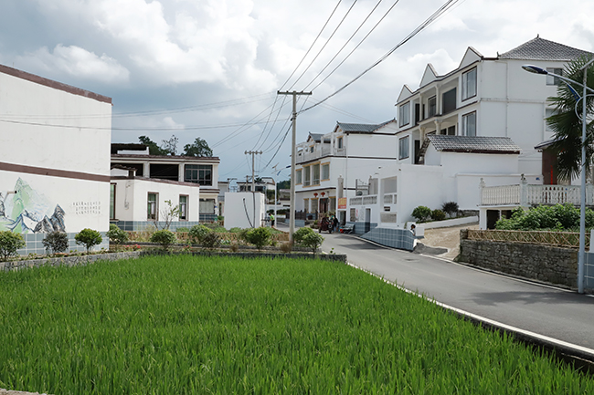 西秀区旧州镇茶岭村村容村貌.JPG