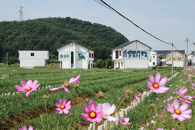 普定县黄桶街道后寨村宜居乡村.JPG