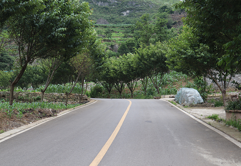 干净整洁的通村公路.jpg