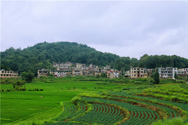 角寨村角寨组满是农田风光.jpg