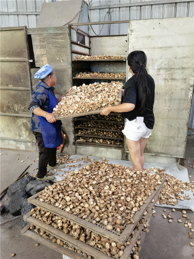 香茹烘烤.jpg