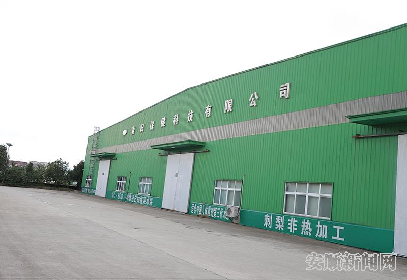 45C80A9D-7745-47F2-9E39-C84B496491DA_IMAGE_0_LOW_0.jpg