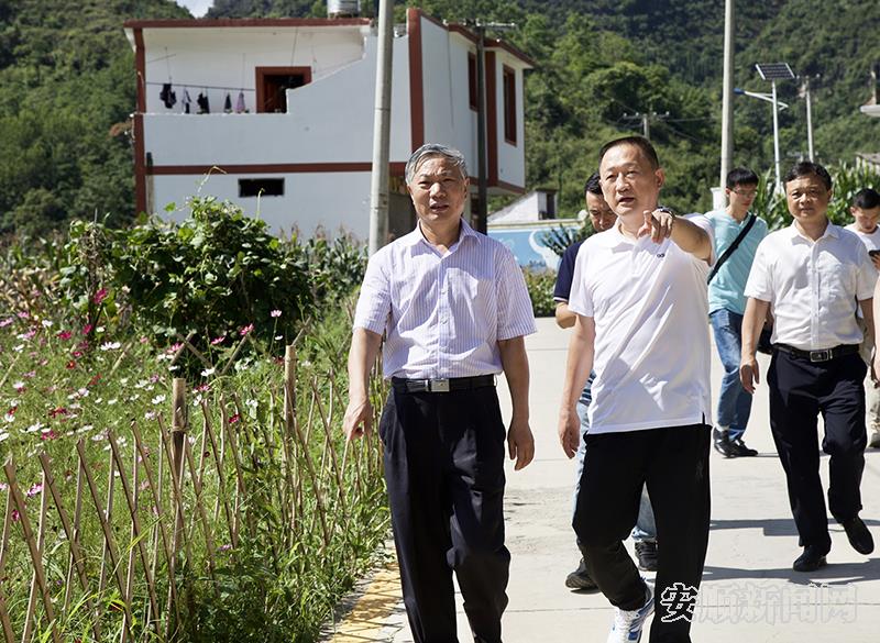 杨华昌一行实地查看村庄环境卫生整治、村容村貌改善等工作情况.jpg