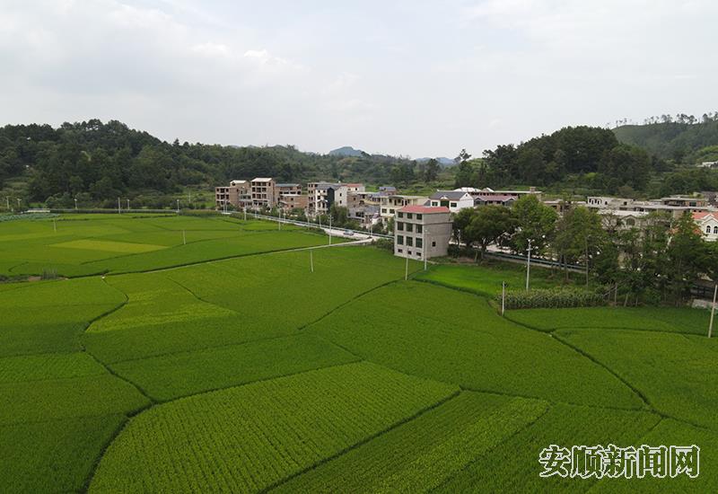 龙海村一景.jpg