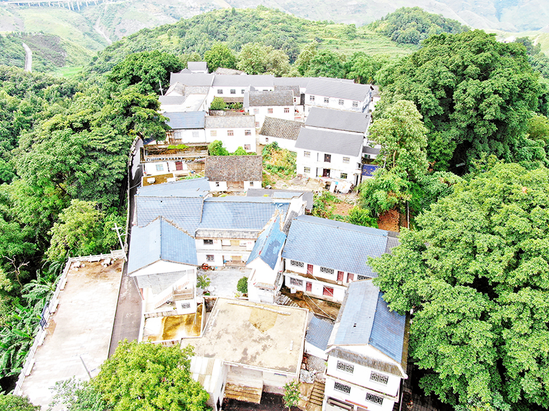 航拍中心村布依农家.jpg