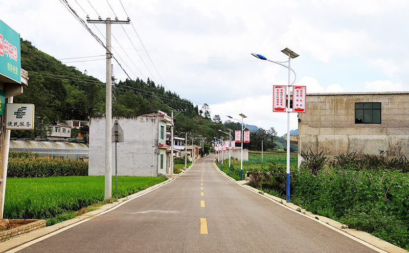 沙营镇前进村公路卫生有了质的转变.jpg