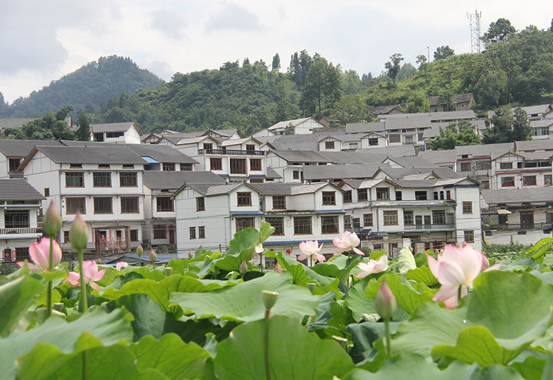 普定县水井村.jpg