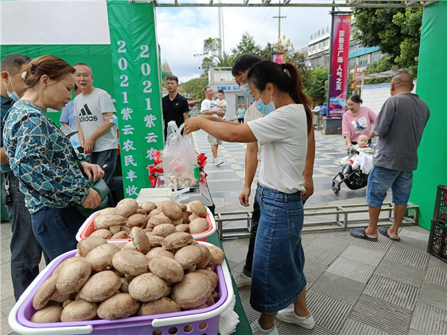 A9554A77-4CAD-4105-A566-34319F0B8C4D_IMAGE_6_LOW_0.jpg