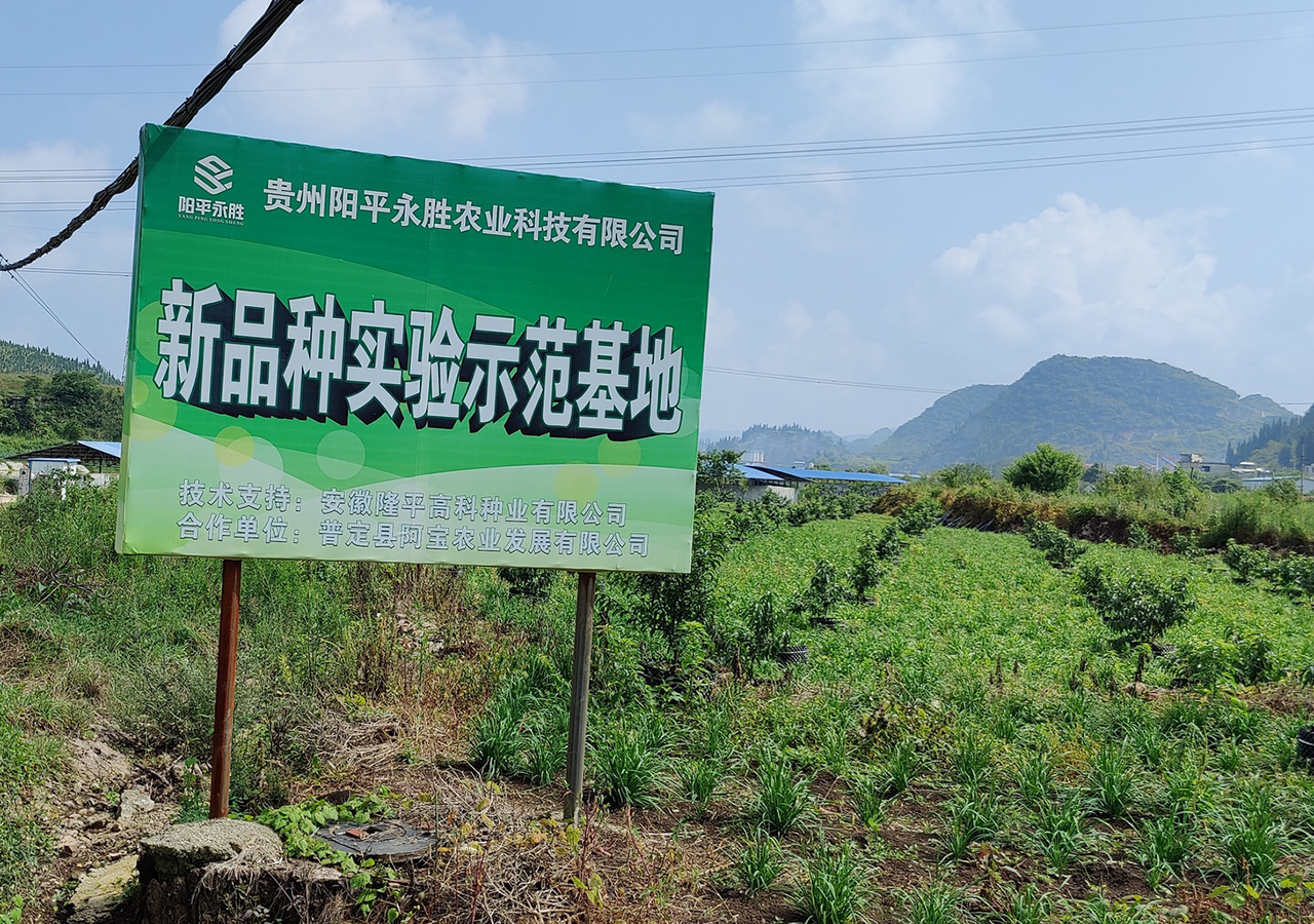 蔬菜种子实验示范基地.jpg
