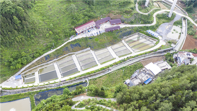 同合村生态养鱼基地.jpg