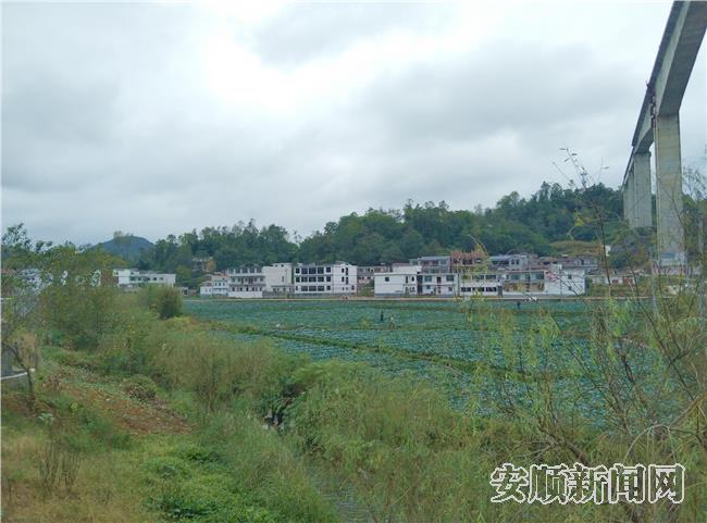 美丽焦家村.jpg