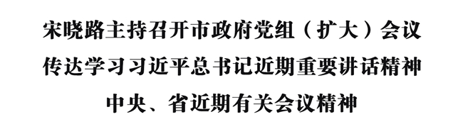 宋晓路主持召开市政府党组（扩大）会议.jpg