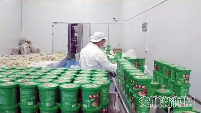 红薯酸辣粉包装.jpg