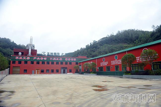 绿薯青山农业公司红薯加工厂.jpg