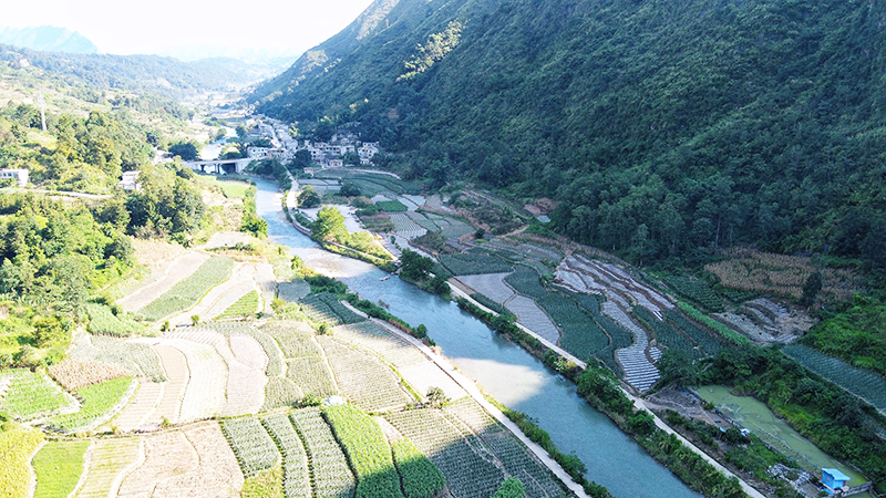 坝陵村的早熟蔬菜种植基地一景.jpg