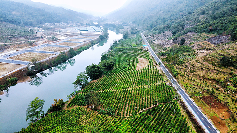 木城河河畔的精品水果种植高标准示范园.jpg
