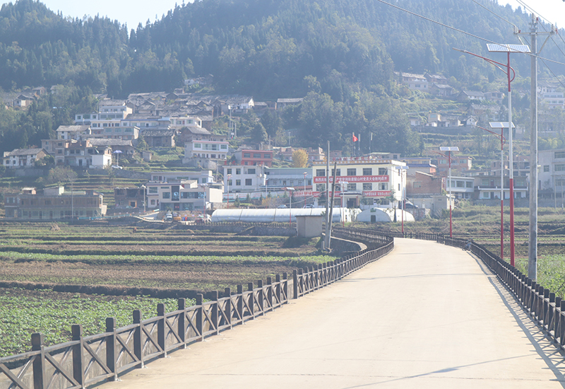 进村道路干净整洁.jpg