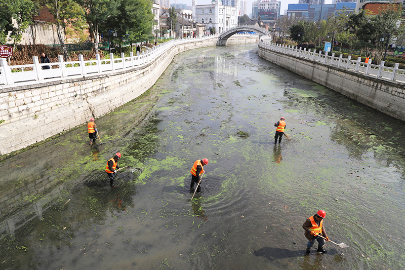 春节期间，我市加紧推进节前水环境整治工作.jpg